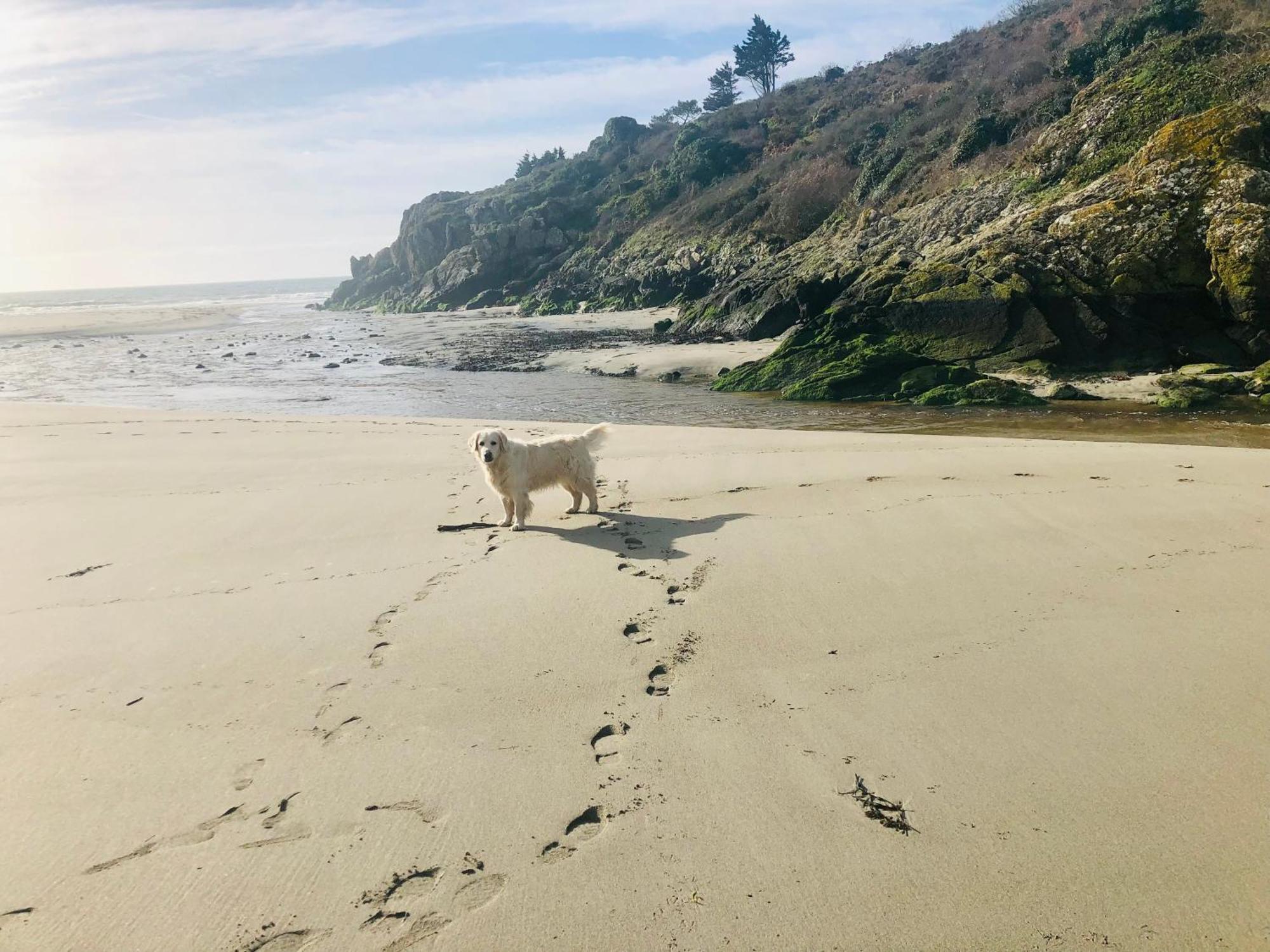 Villa Tidinghi, Plage De Rospico A Pied Névez Esterno foto